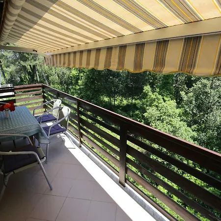 Paleka * פטרצ'אנה