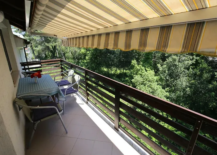 Paleka * Петрчане